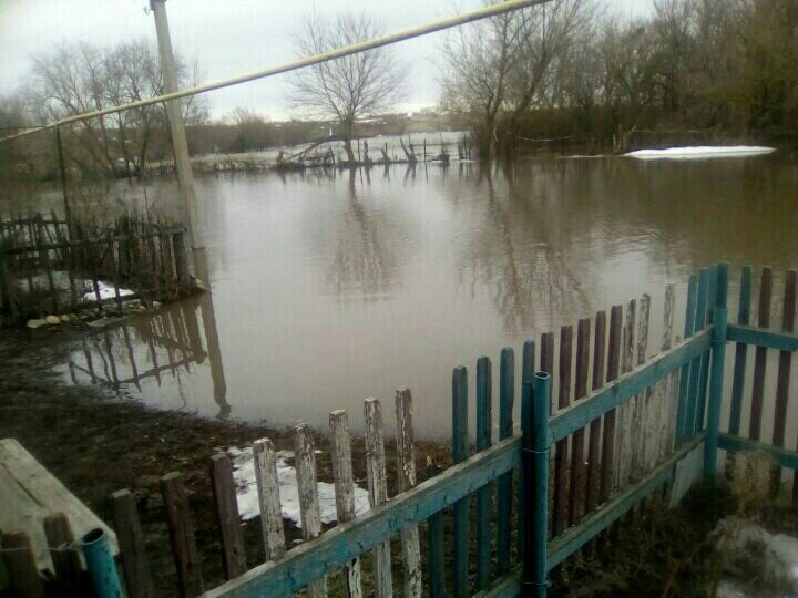 In the flood zone - Flood, Volgograd region, Drowning, Longpost