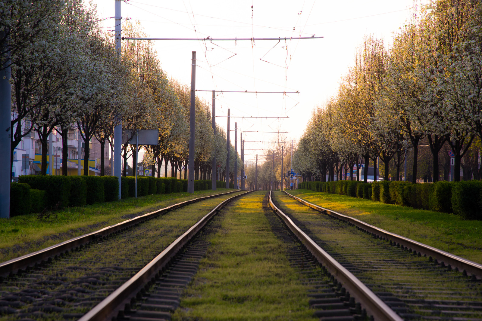 The city is waking up. - My, Krasnodar, Spring, Town, Time, Heat, Russia, The photo