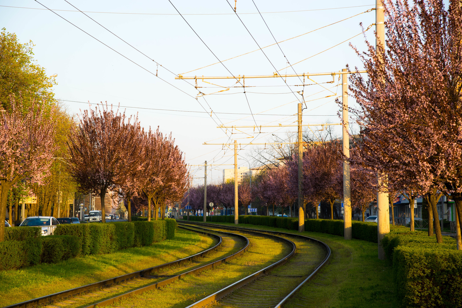 The city is waking up. - My, Krasnodar, Spring, Town, Time, Heat, Russia, The photo