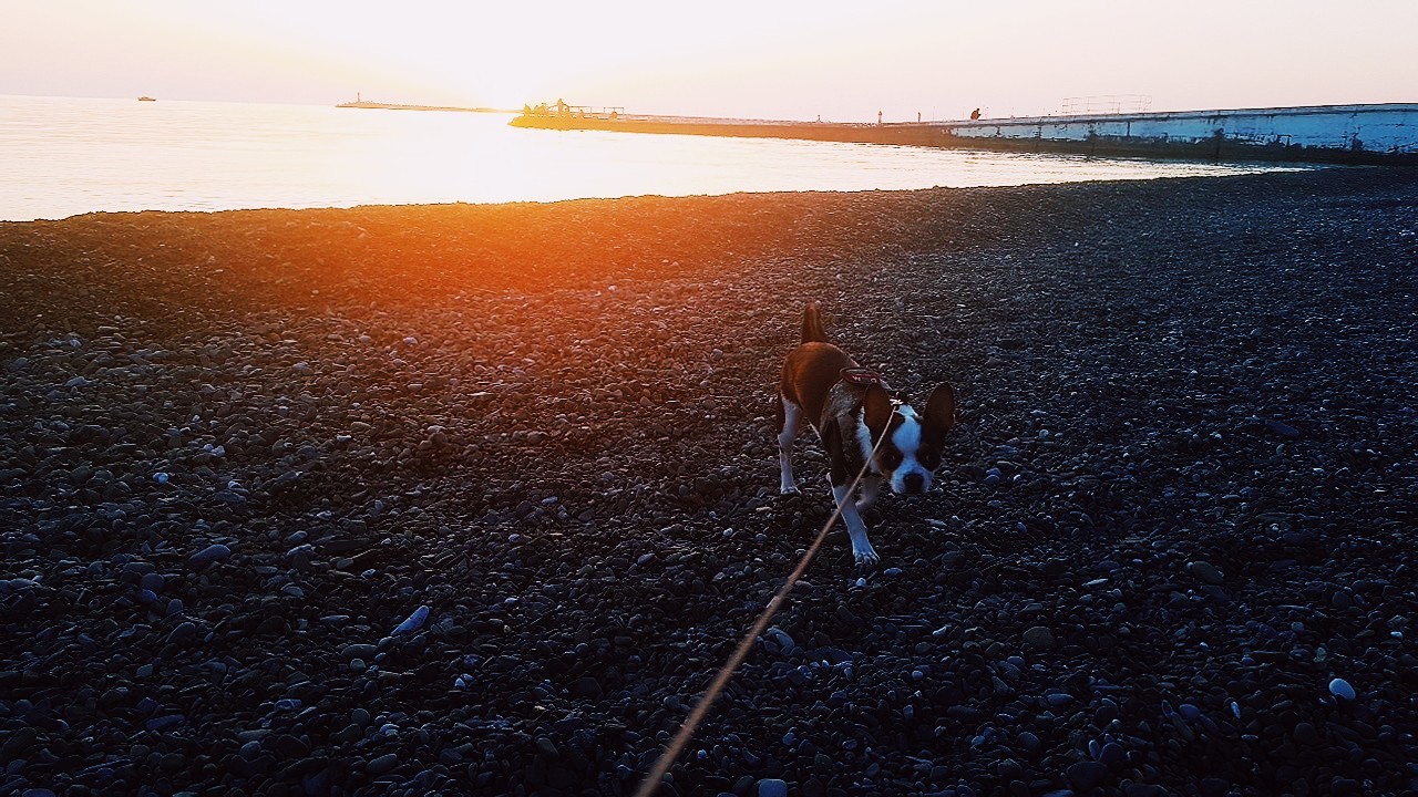 Sochi 08.04.2018 - My, Sochi, , Walk, Sea, Black Sea, Spring, Longpost