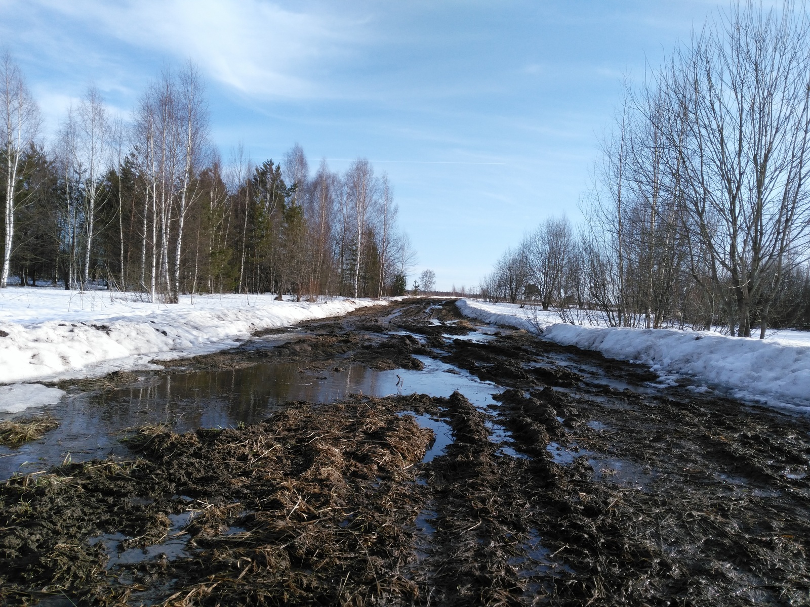 About the road and the fool... - My, Road, Ivanovo, , Village, Fools, cat, Legal consultation, Longpost, Legal aid