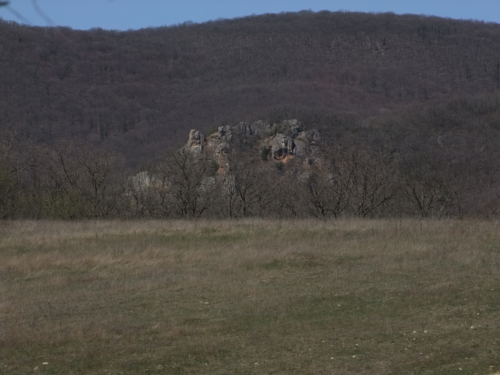 Look, boar pass - My, Crimea, , , Longpost, The photo