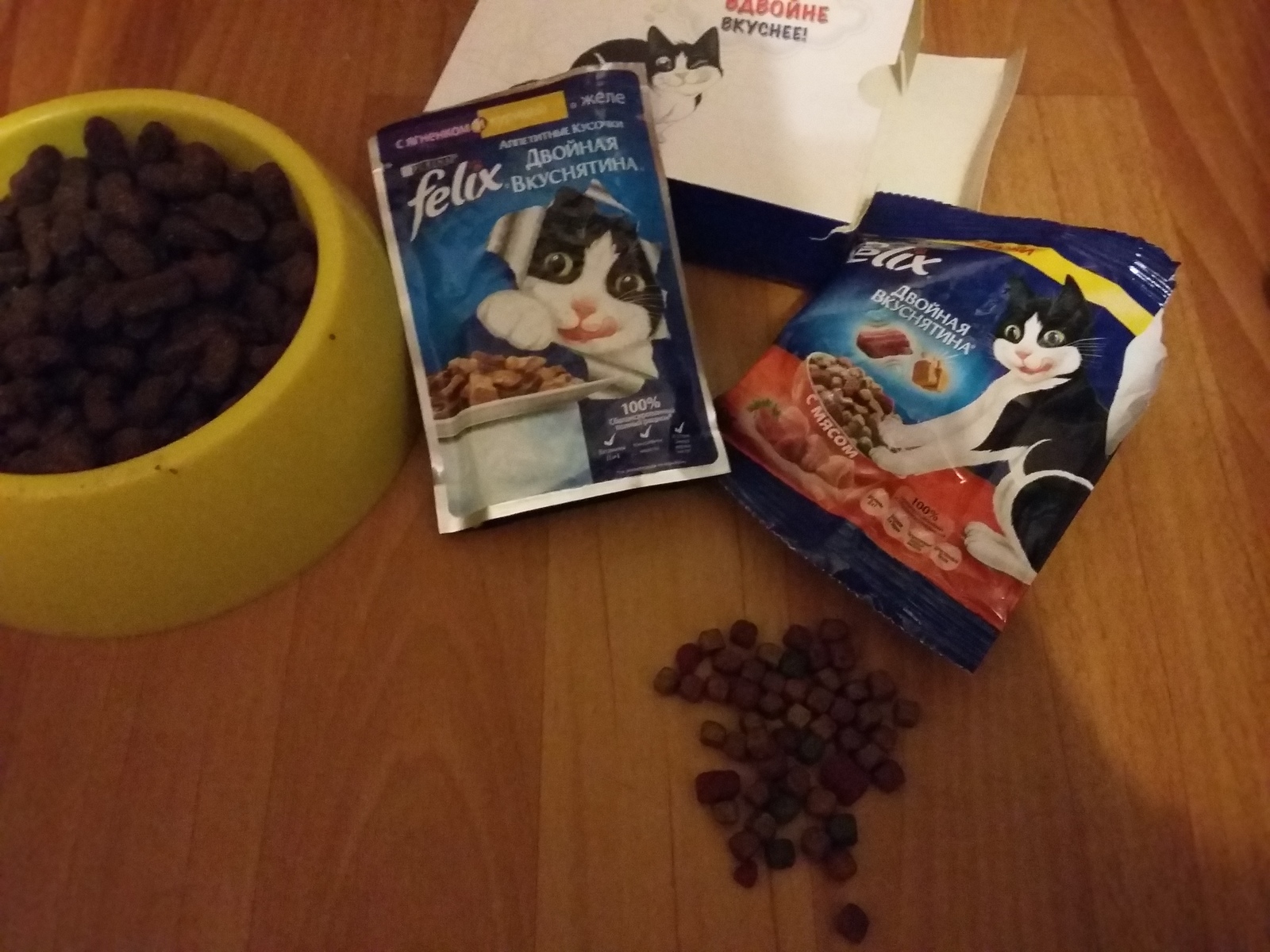 Tote Felix - My, cat, Felix, Cat's food, Maine Coon