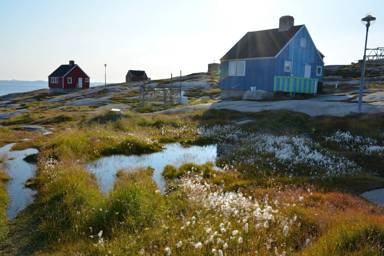 Independent trip to Greenland. Ilulissat. Seal hunting and hiking to the Ice Fjord - My, Tourism, Greenland, Ilulissat, The photo, Travels, Iceberg, Whale, Fishing, Longpost