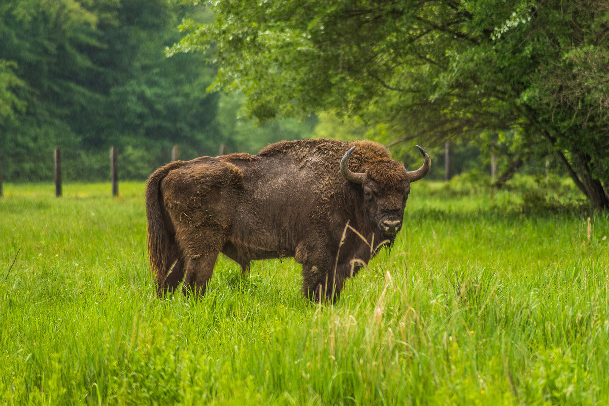 Random Geography. Part 5. Moldova - Geography, Interesting, Travels, Random geography, Longpost