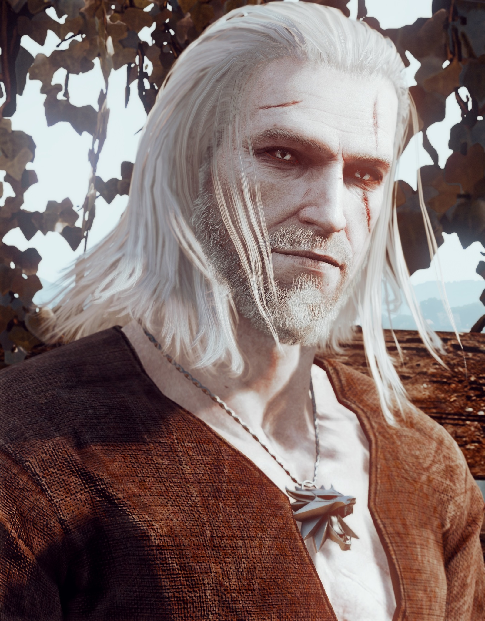 Screenshots of Witcher 3 Wild Hunt #4 - My, Witcher, Screenshot, Longpost