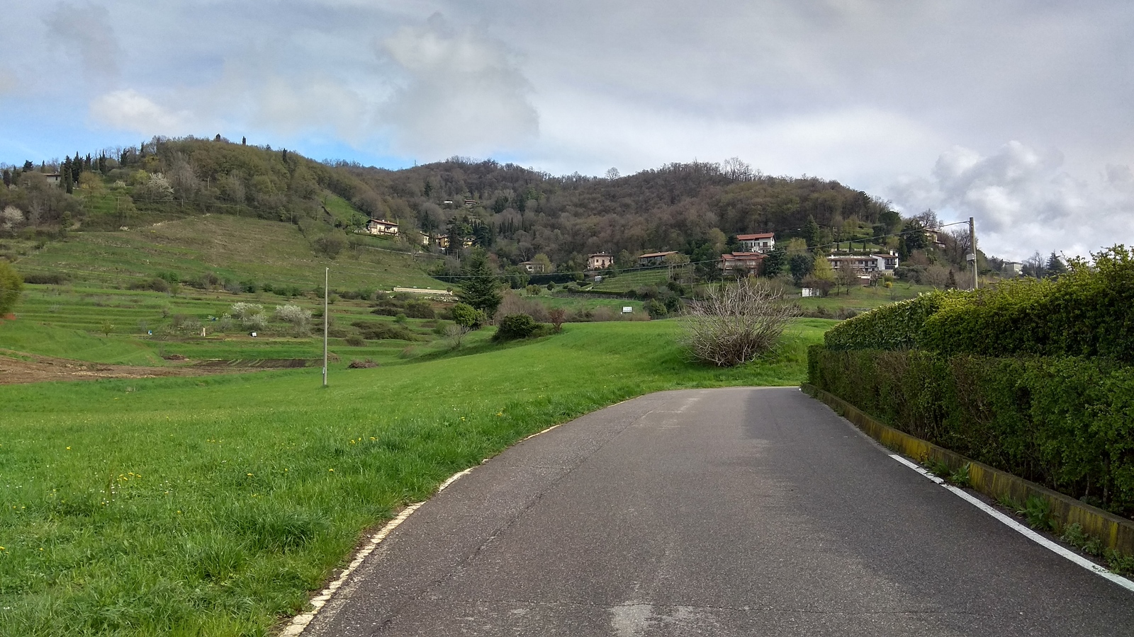 Fields in Italy and some flowers again - Field, Flowers, Flower, Italy, Longpost