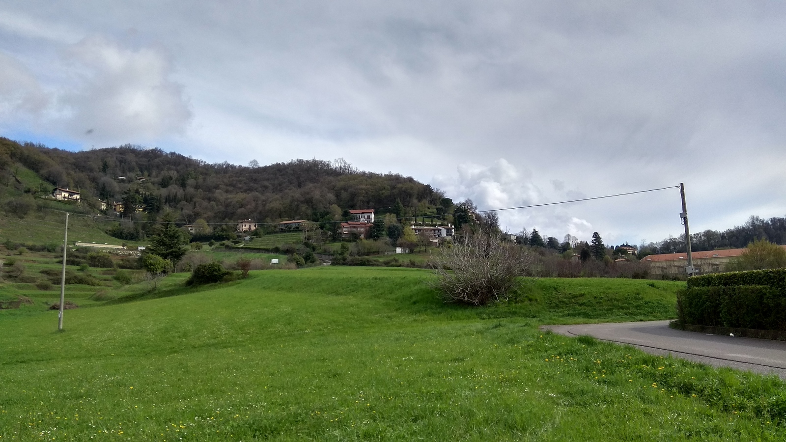 Fields in Italy and some flowers again - Field, Flowers, Flower, Italy, Longpost