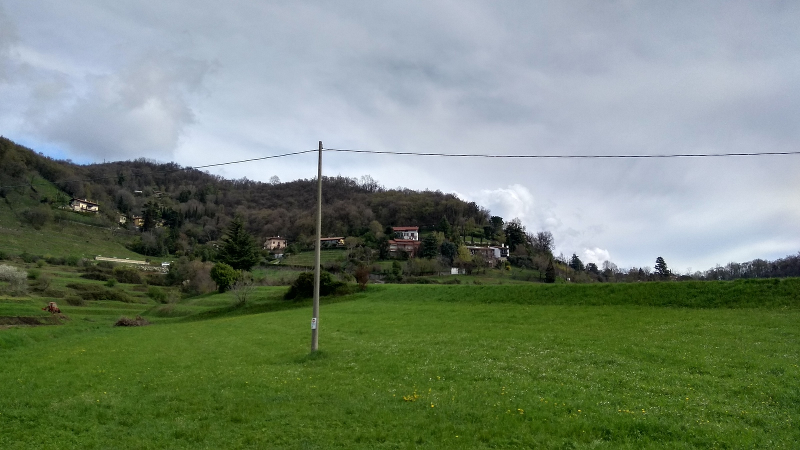 Fields in Italy and some flowers again - Field, Flowers, Flower, Italy, Longpost