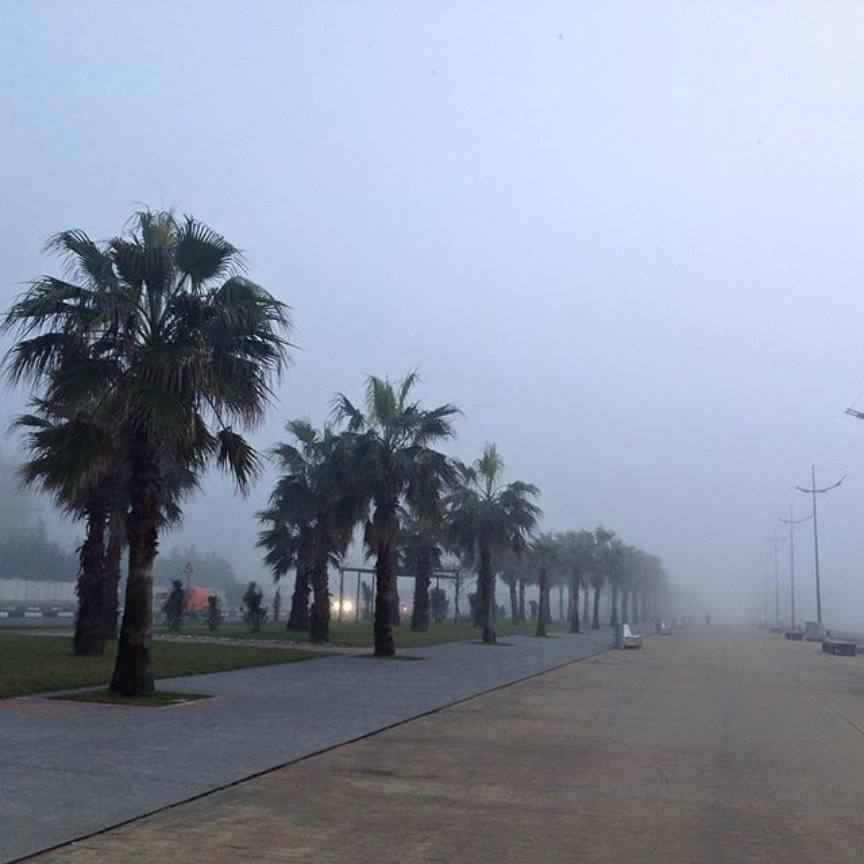 Fog - Georgia, Batumi, Fog, The photo, Longpost