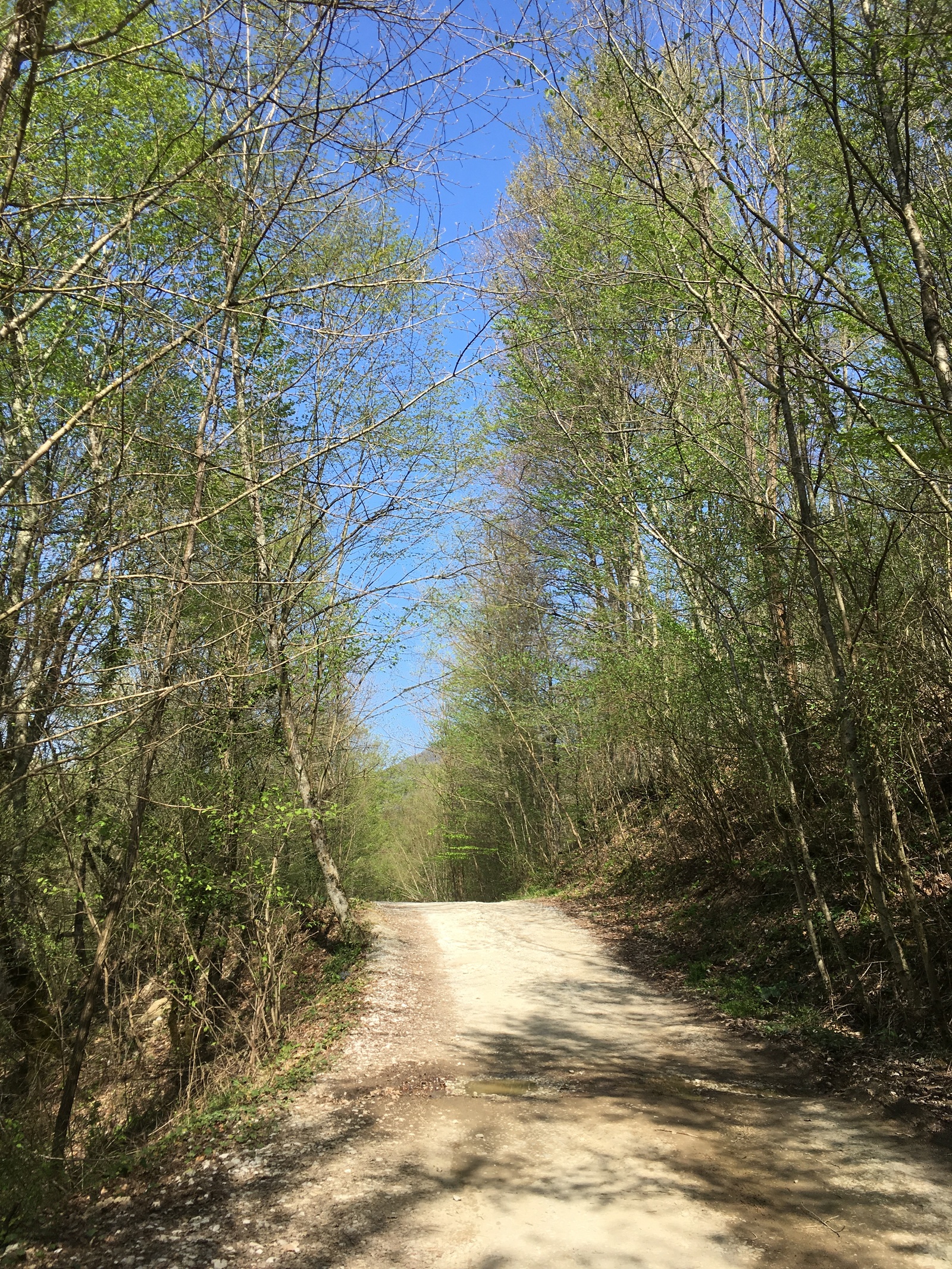 Janet river valley - My, Gelendzhik, , Walk, Climbing, , Longpost