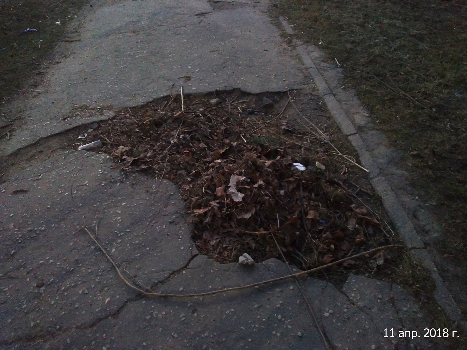 Nanotechnologies in Dubna near Moscow - My, Dubna, Spring, Idiocy, Sidewalk, Asphalt