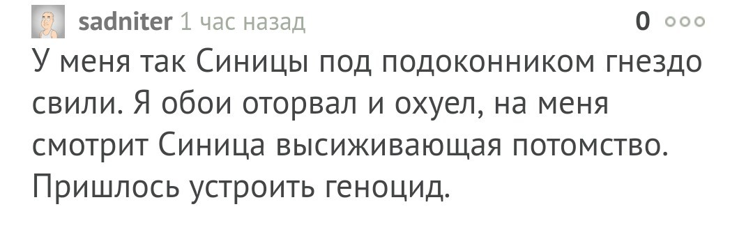 Синицы и смекалка - Скриншот, Комментарии на Пикабу, Синица, Обои, Геноцид, Смекалка