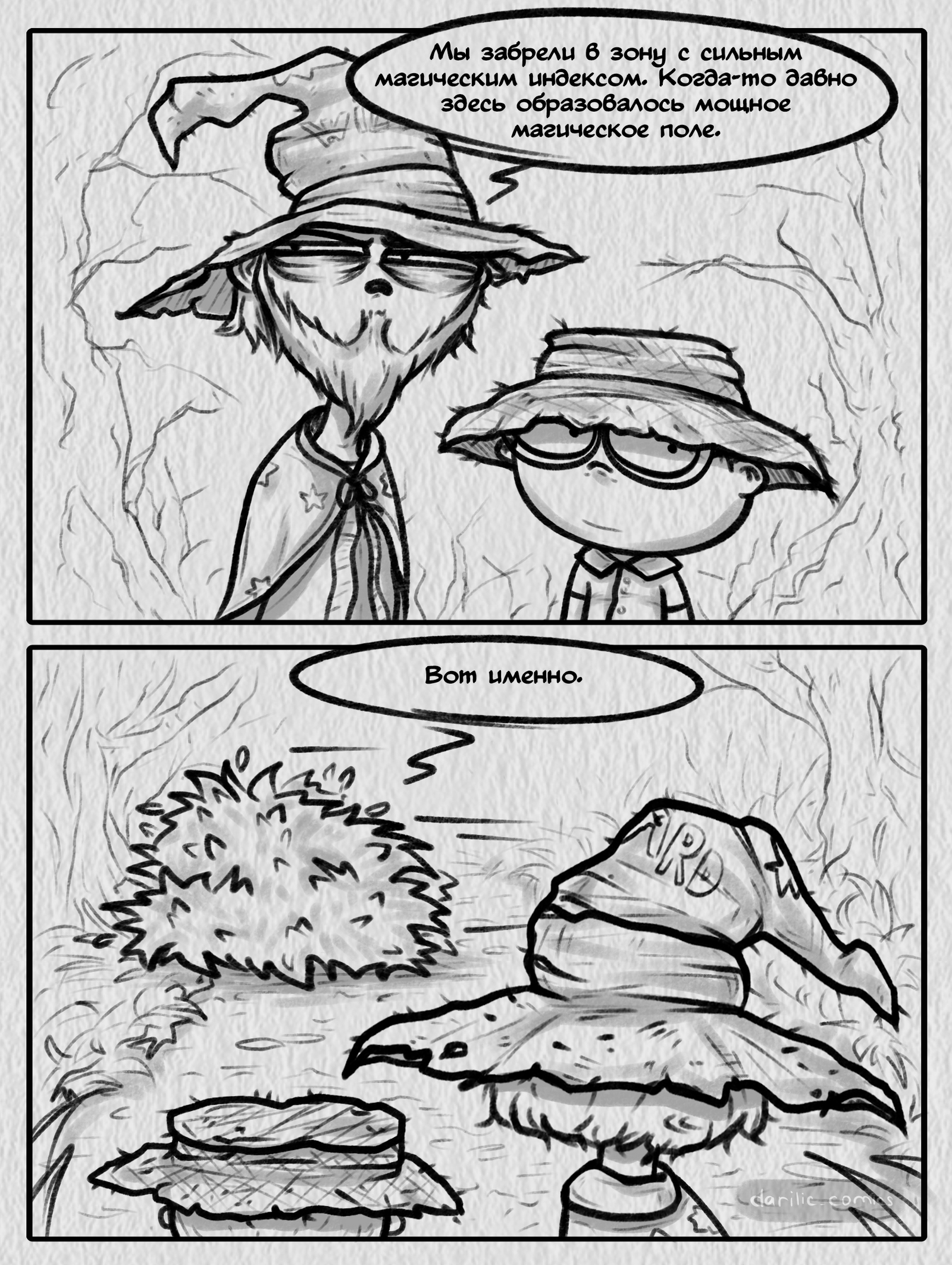 Comic strip based on the book of Pratchett - My, My, Comics, Terry Pratchett, Flat world, Rinswind, Two-flower