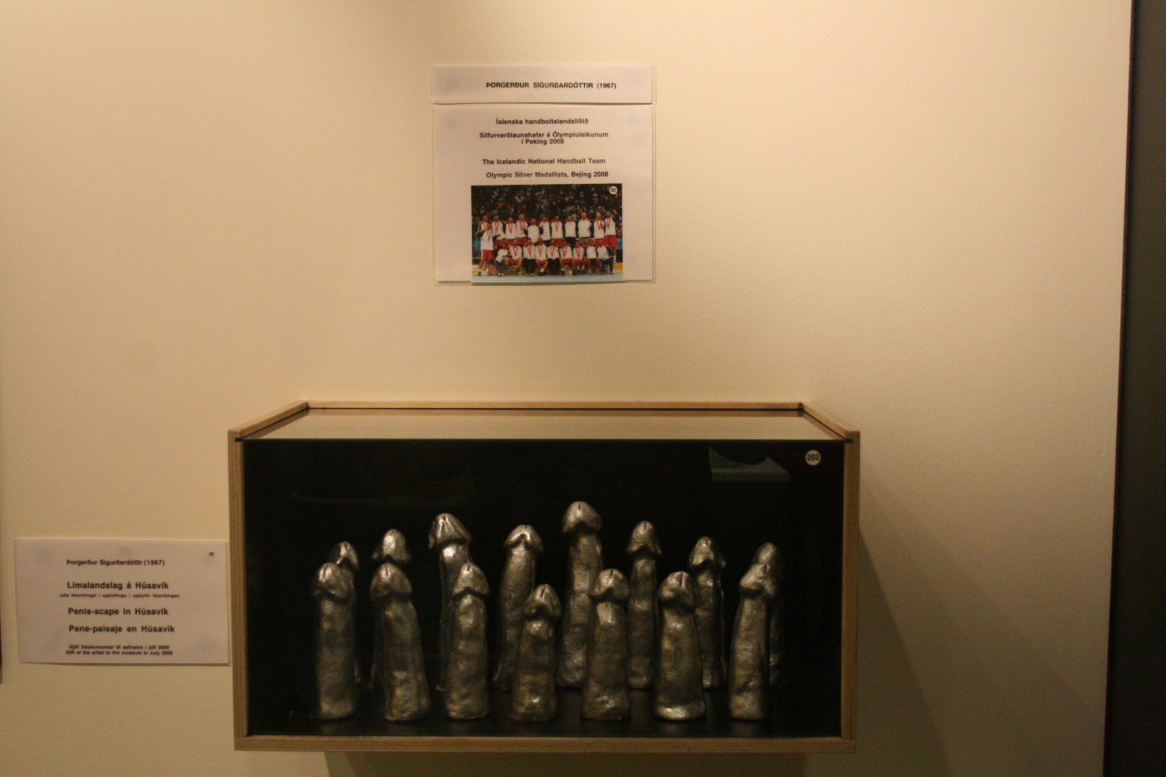 Member Collectors: Exhibits and Souvenirs of the Icelandic Phallus Museum - NSFW, Iceland, Penis, Longpost