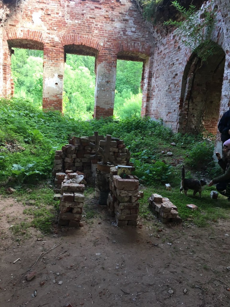 Abandoned church in the Meshchersky forests - My, Abandoned, Church, Abandoned place, Meshchera, Ruin, Longpost