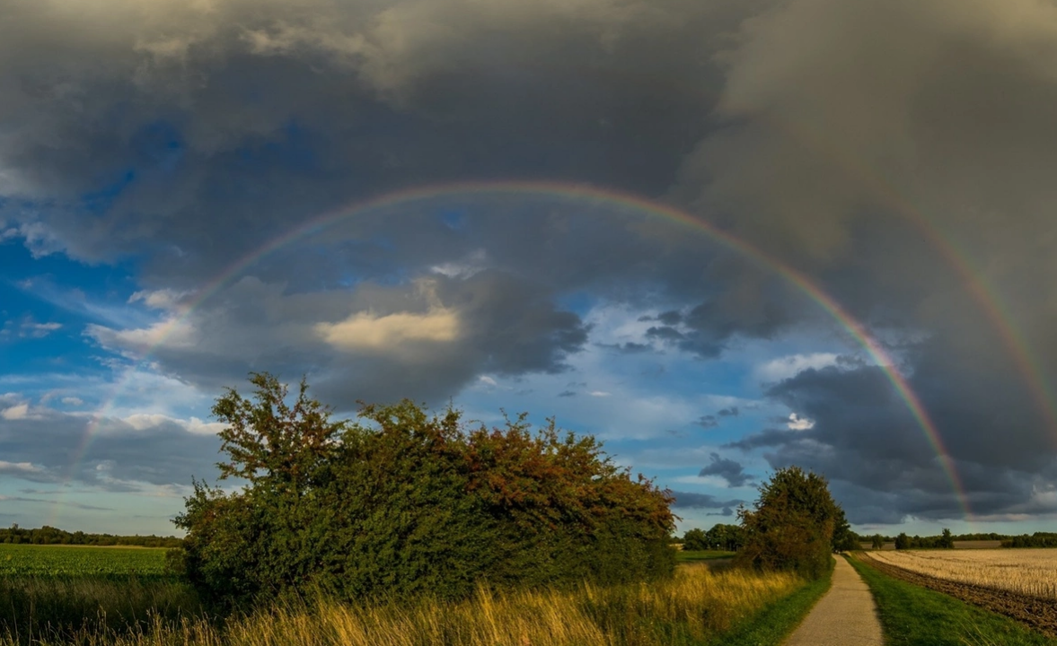 Rainbow | Пикабу