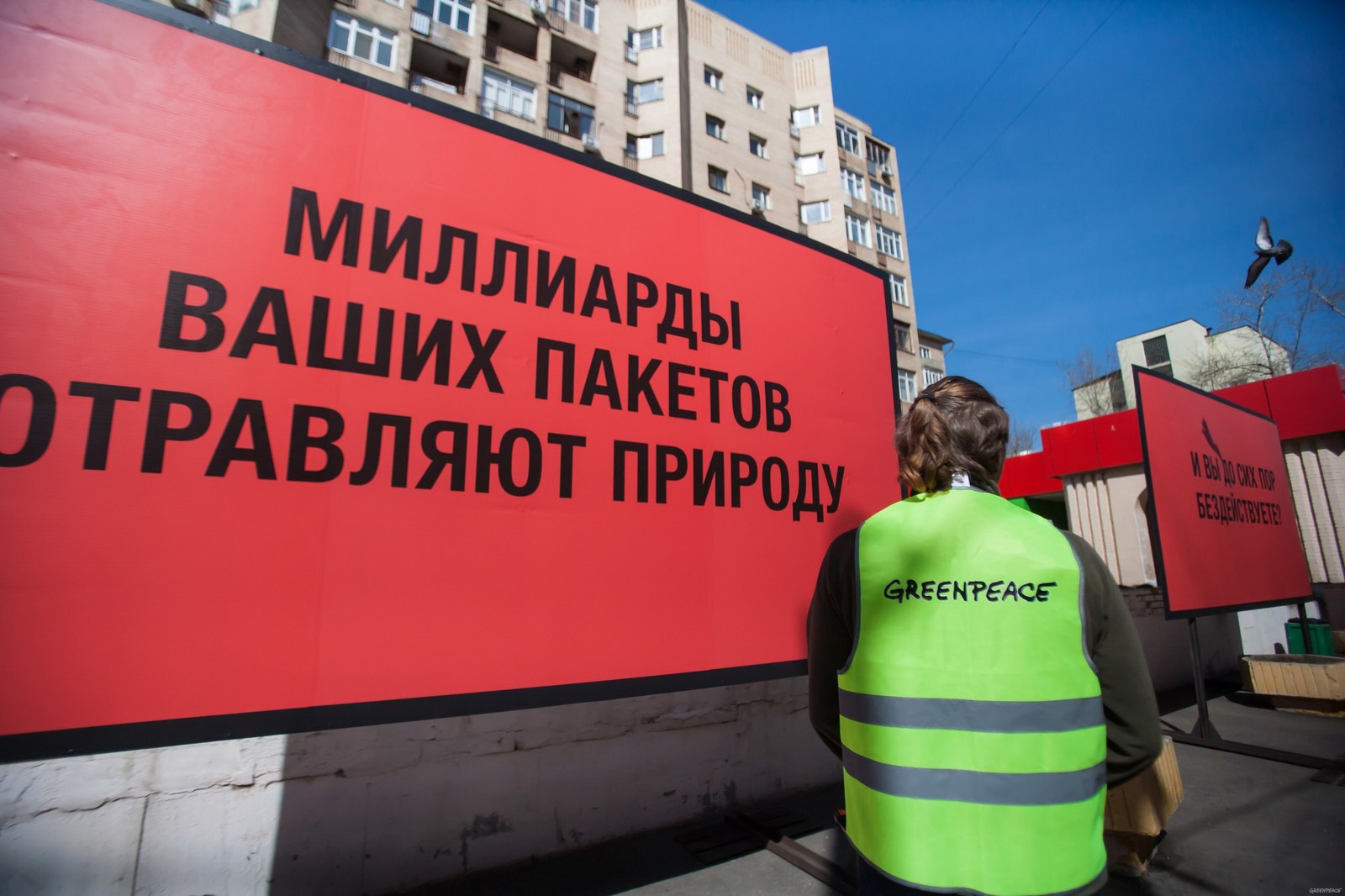 Three billboards on the border of Pyaterochka - Pyaterochka, Three Billboards, Social advertisement, Greenpeace