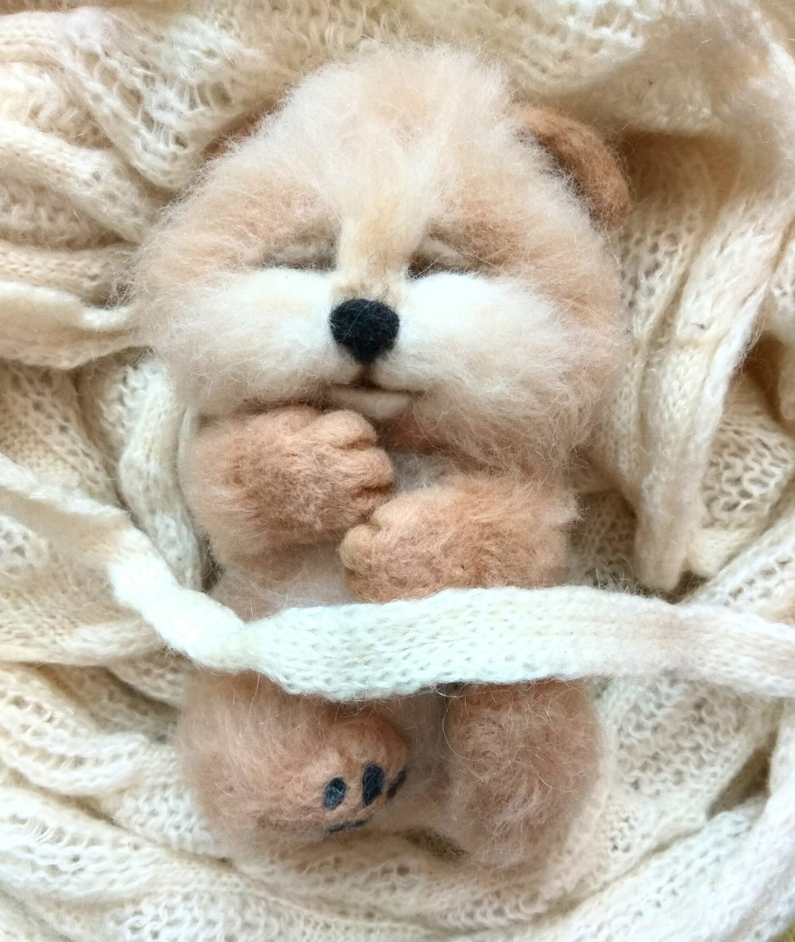 Spitz puppy Syoma. Made from wool. Dry felting, felting. - My, Spitz, Dry felting, Handmade, With your own hands, Dog, Longpost