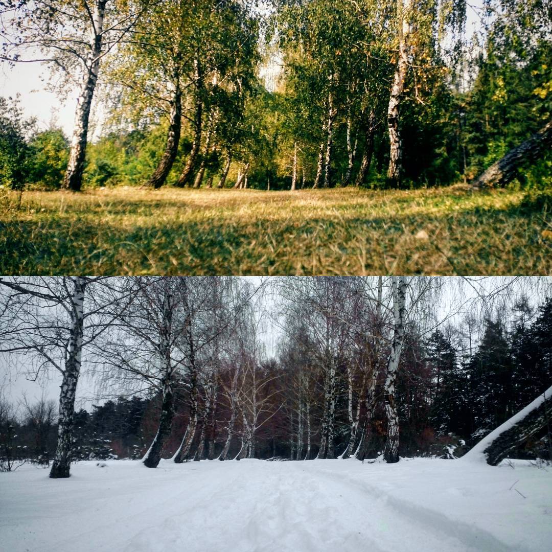 Summer VS Winter - Моё, Лето, Зима, Лес, Поле, Природа, Снег, Небо, Фотография, Длиннопост