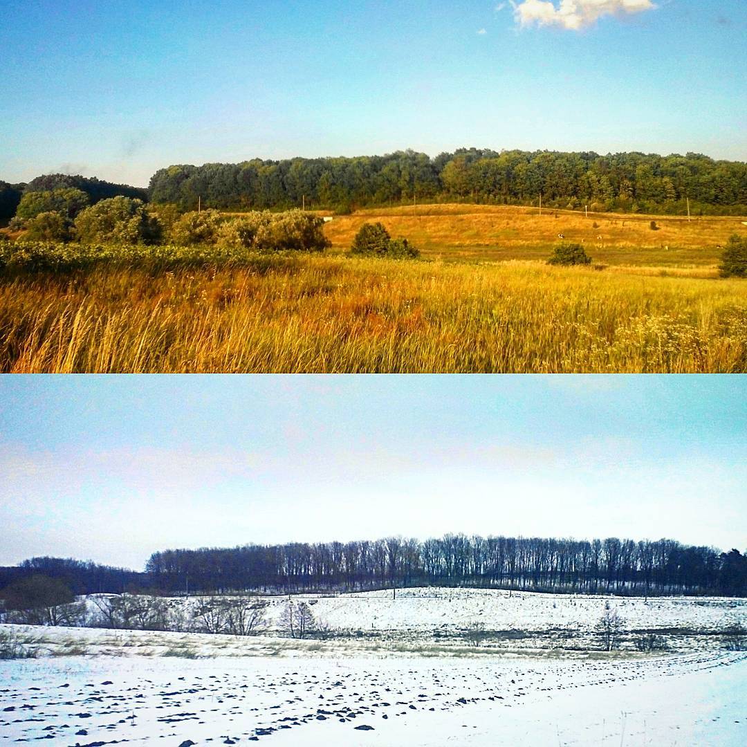 Summer VS Winter - Моё, Лето, Зима, Лес, Поле, Природа, Снег, Небо, Фотография, Длиннопост