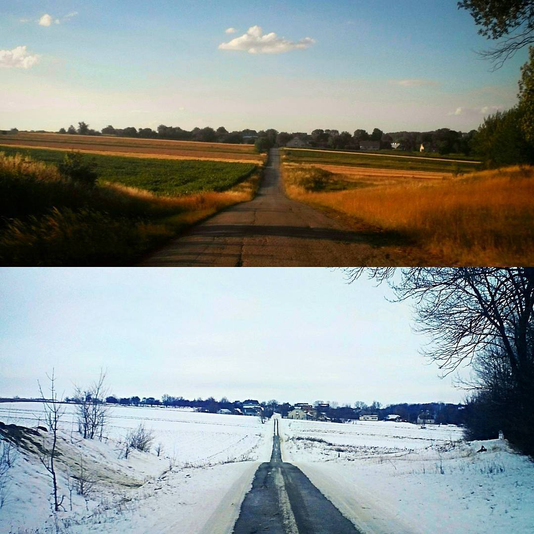 Summer VS Winter - Моё, Лето, Зима, Лес, Поле, Природа, Снег, Небо, Фотография, Длиннопост