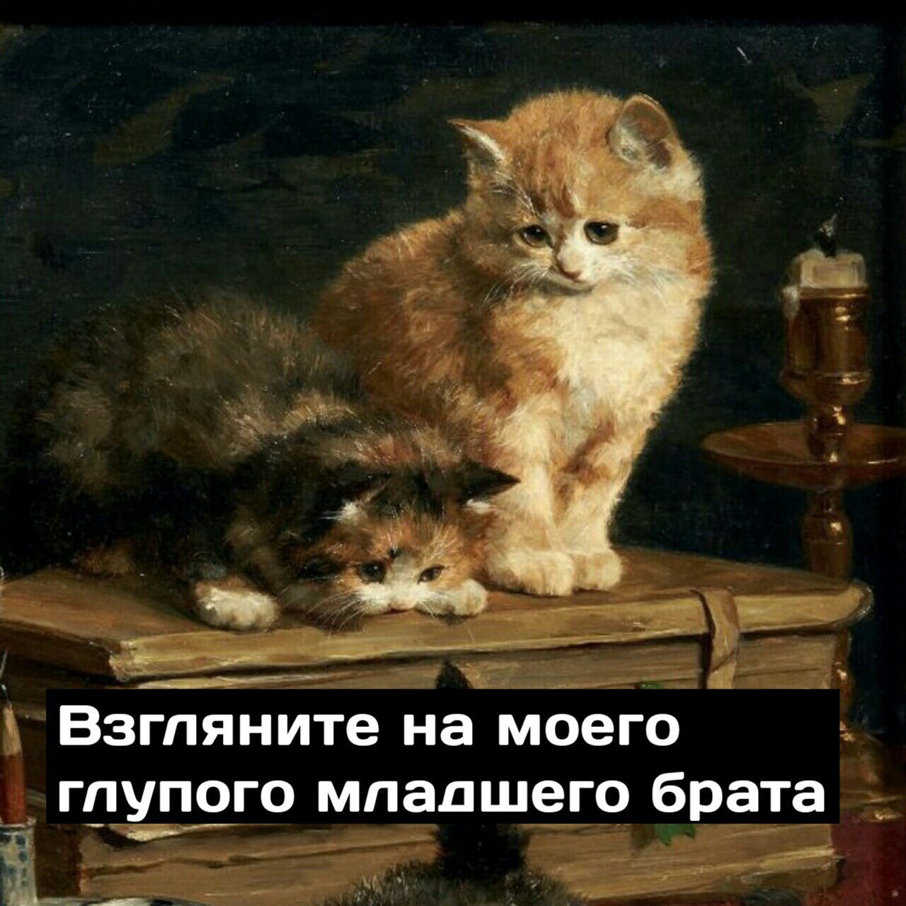 Ничто не есть правда или ложь, всё зависит от цвета очков, через которые ты смотришь на мир. - Кот, Цвет очков, Длиннопост