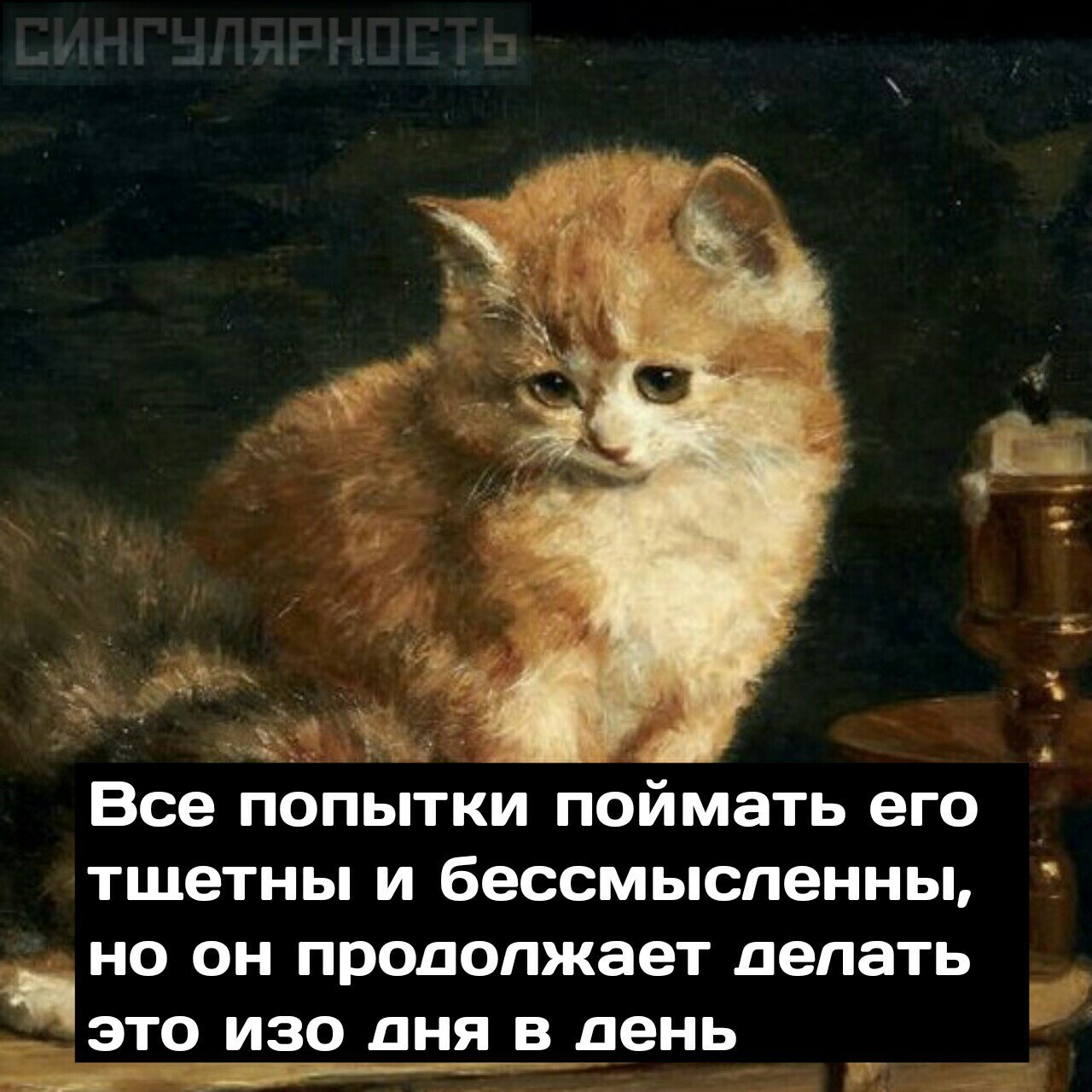 Ничто не есть правда или ложь, всё зависит от цвета очков, через которые ты смотришь на мир. - Кот, Цвет очков, Длиннопост