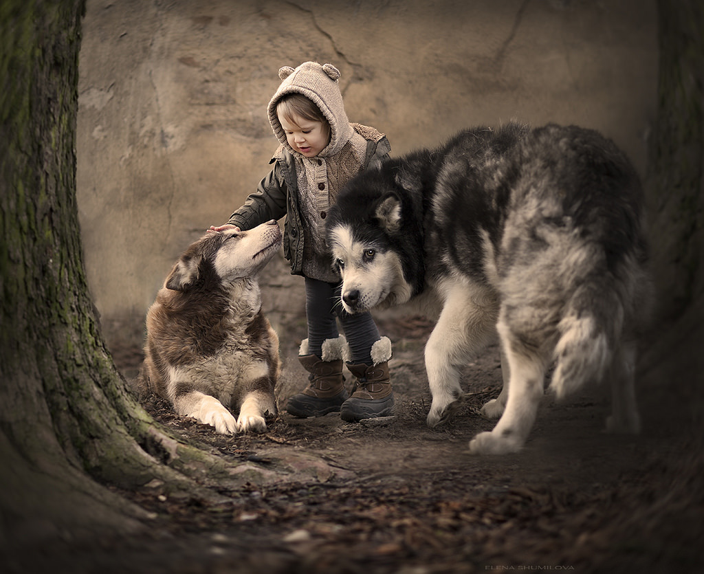 In my opinion, a perfect example of what kind of work to expect from a family photographer. - Dog, Children, The photo, friendship, Milota