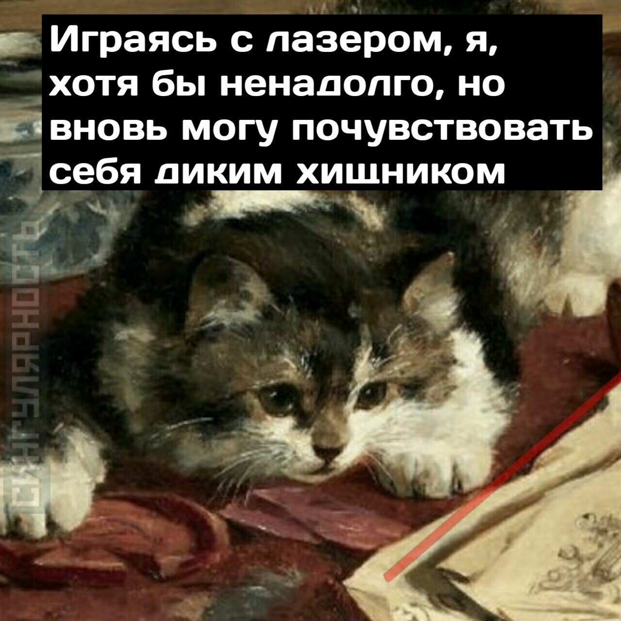 Ничто не есть правда или ложь, всё зависит от цвета очков, через которые ты смотришь на мир. - Кот, Цвет очков, Длиннопост