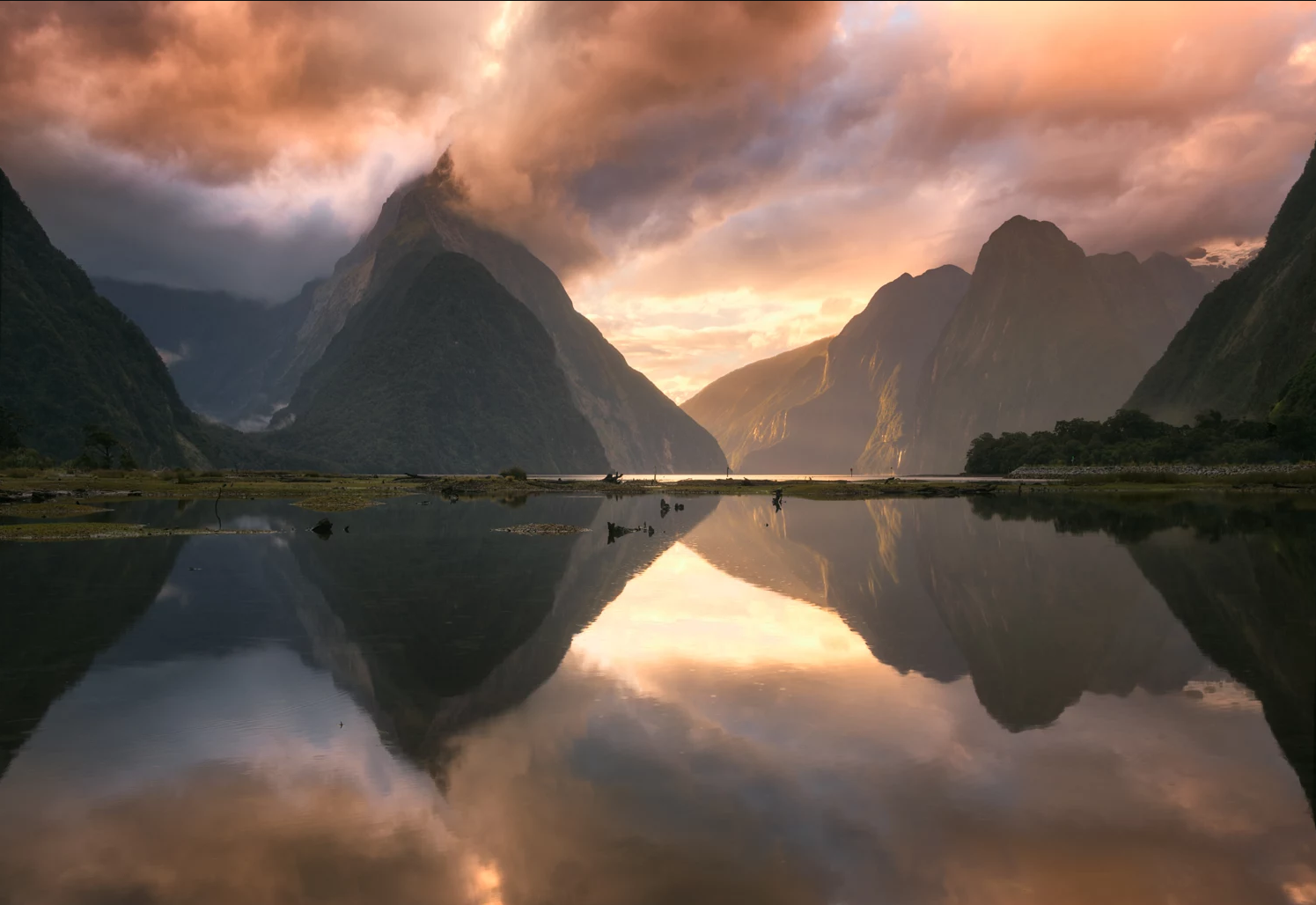 Milford - bay of the South Island in New Zealand - The photo, Landscape, New Zealand, Bay, Island, Reflection, 