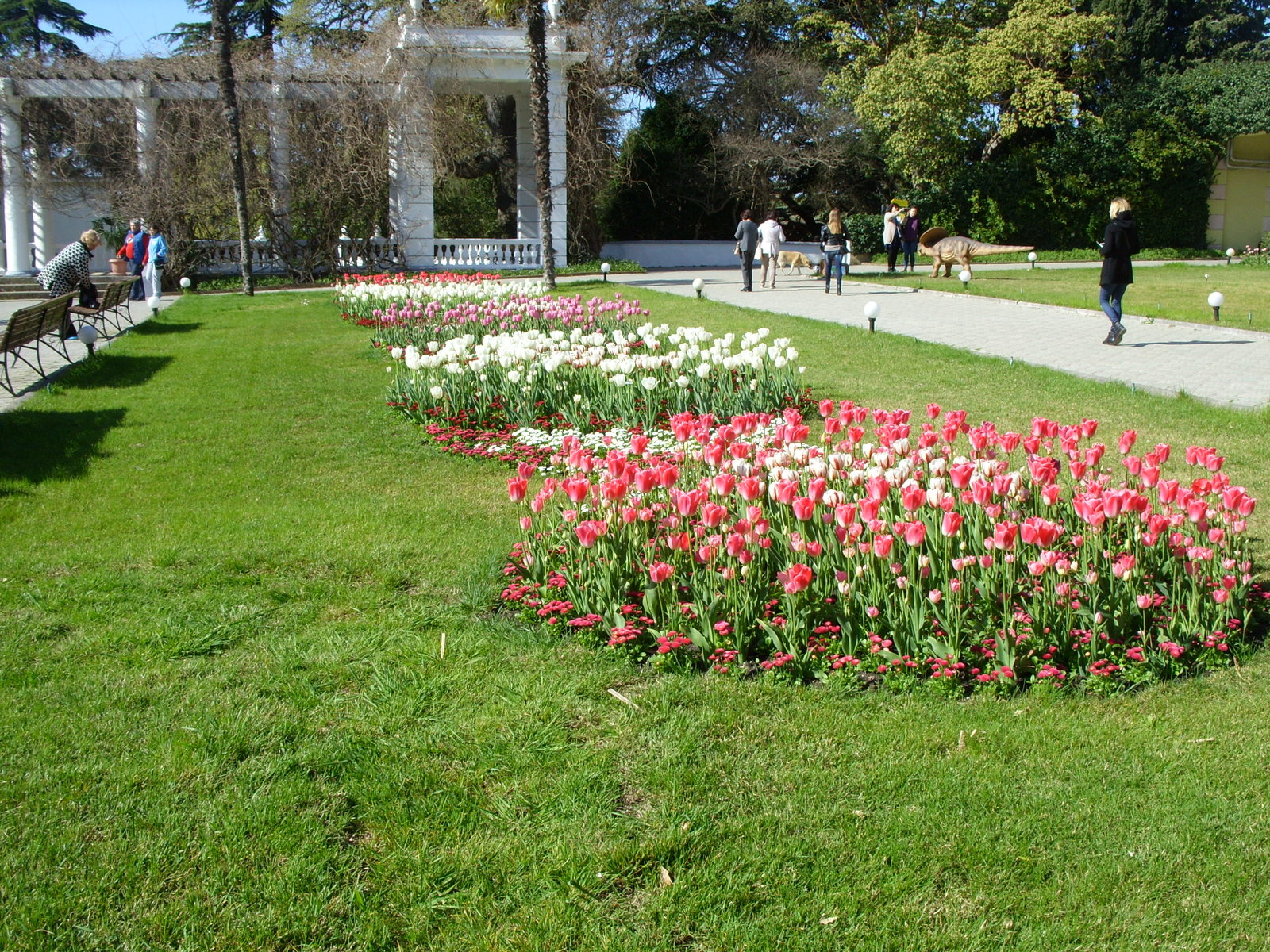 Nikitsky Botanical Garden. - My, Nikitsky Botanical Garden, Tulip Festival, Yalta, Longpost