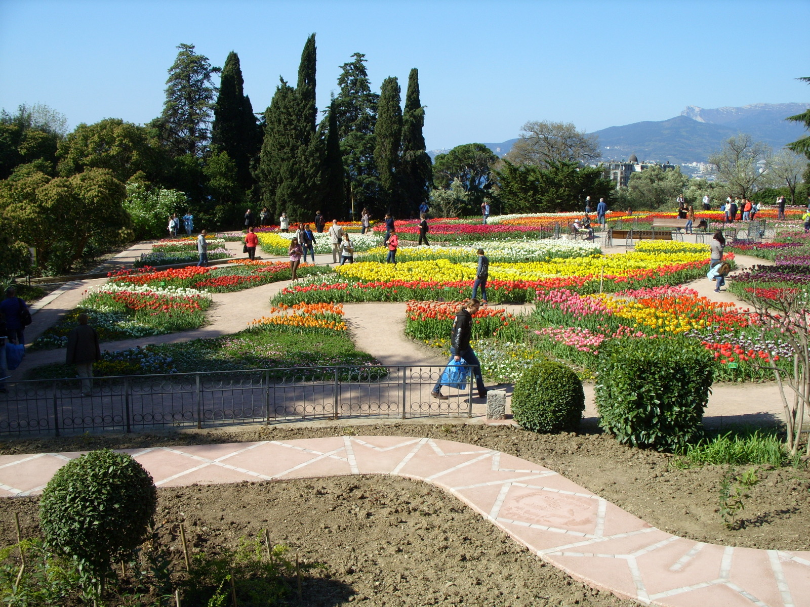 Nikitsky Botanical Garden. - My, Nikitsky Botanical Garden, Tulip Festival, Yalta, Longpost