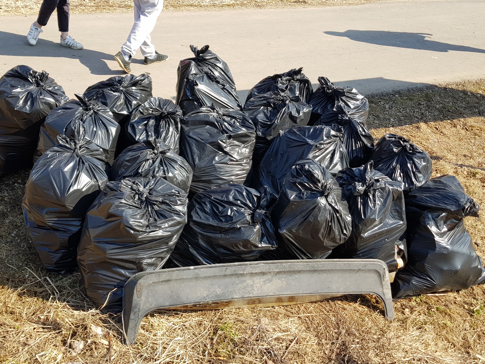 Removed 18 bags of garbage in the village - My, Chistoman, Garbage, Cleaning, Saturday clean-up, Clean forest, Purity, Pig, Longpost