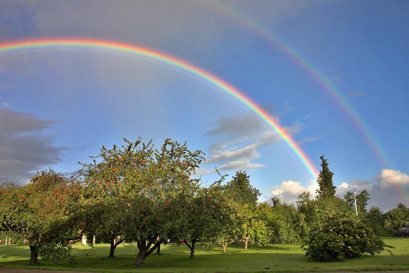 Rainbow - Rainbow, The photo