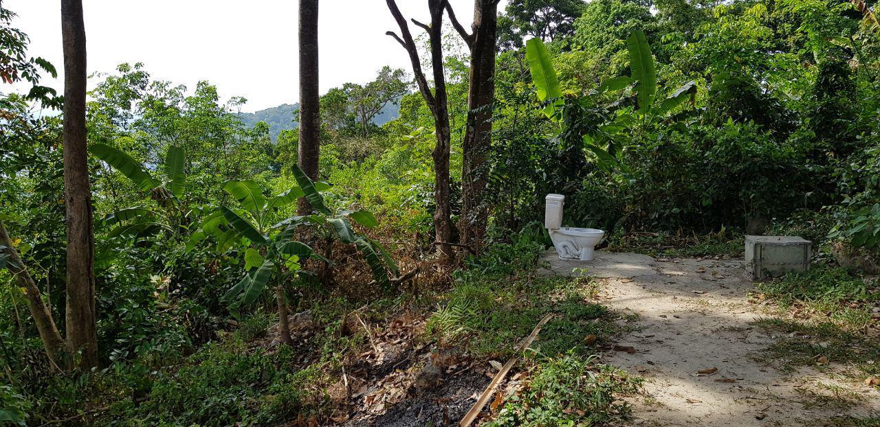 When the amenities are outside. - Toilet, Jungle, Tropics