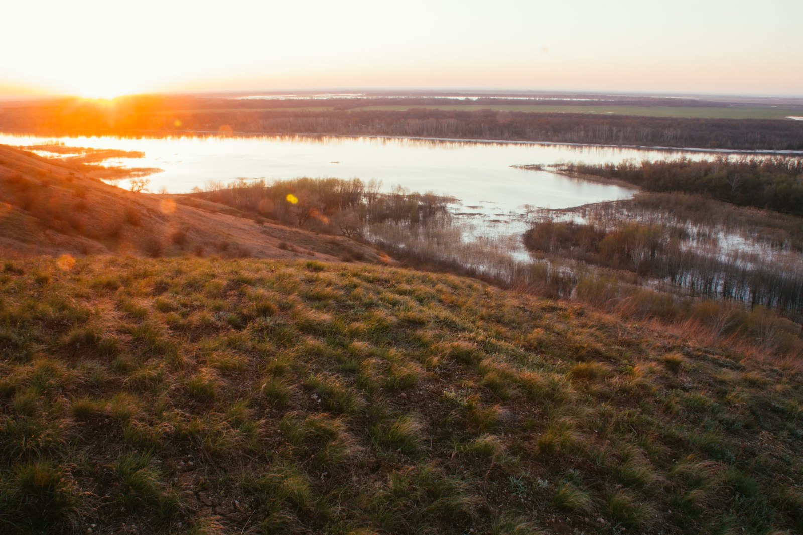 Yesterday's dawn - My, My, Landscape, The photo, Nature