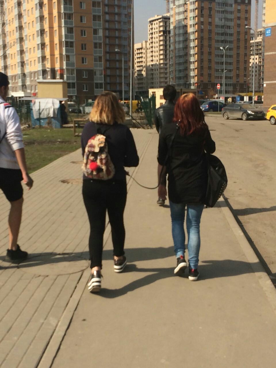 В Москве собаки уже не те ))) - Собаки и люди, Москва, Любовь