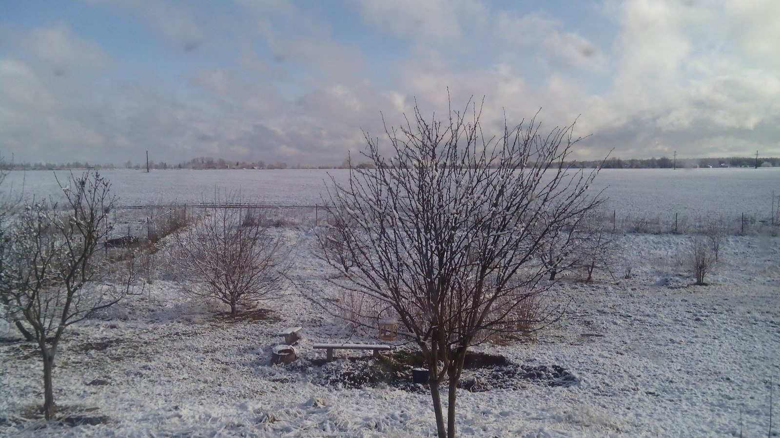 To burn or not to burn grass? - My, Fallen Grass, Fire, Dacha, Spring