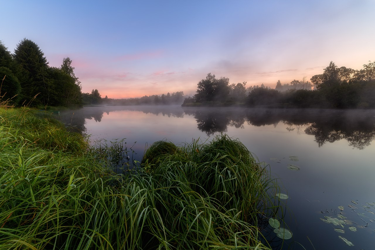 Leningrad region. - The photo, Nature, Leningrad region, Longpost