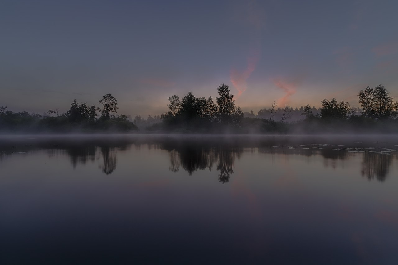 Leningrad region. - The photo, Nature, Leningrad region, Longpost