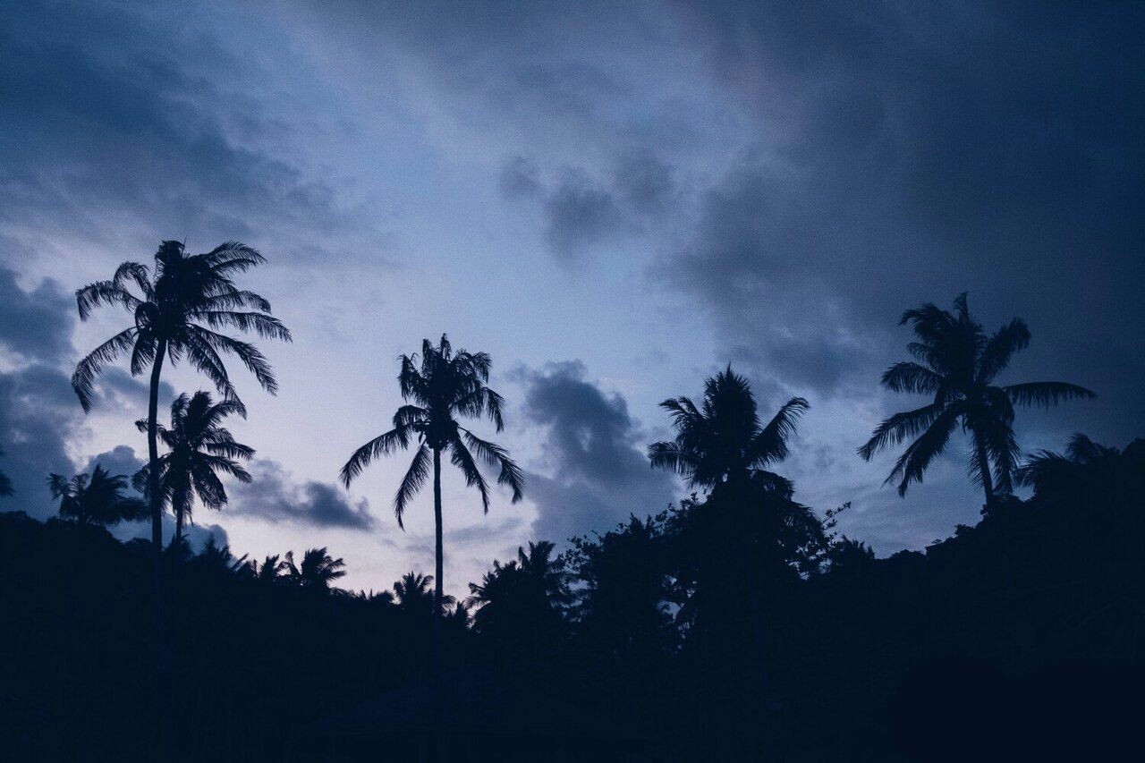 Sometimes you just want to wake up here: - Tropics, Jamaica, The photo, Landscape