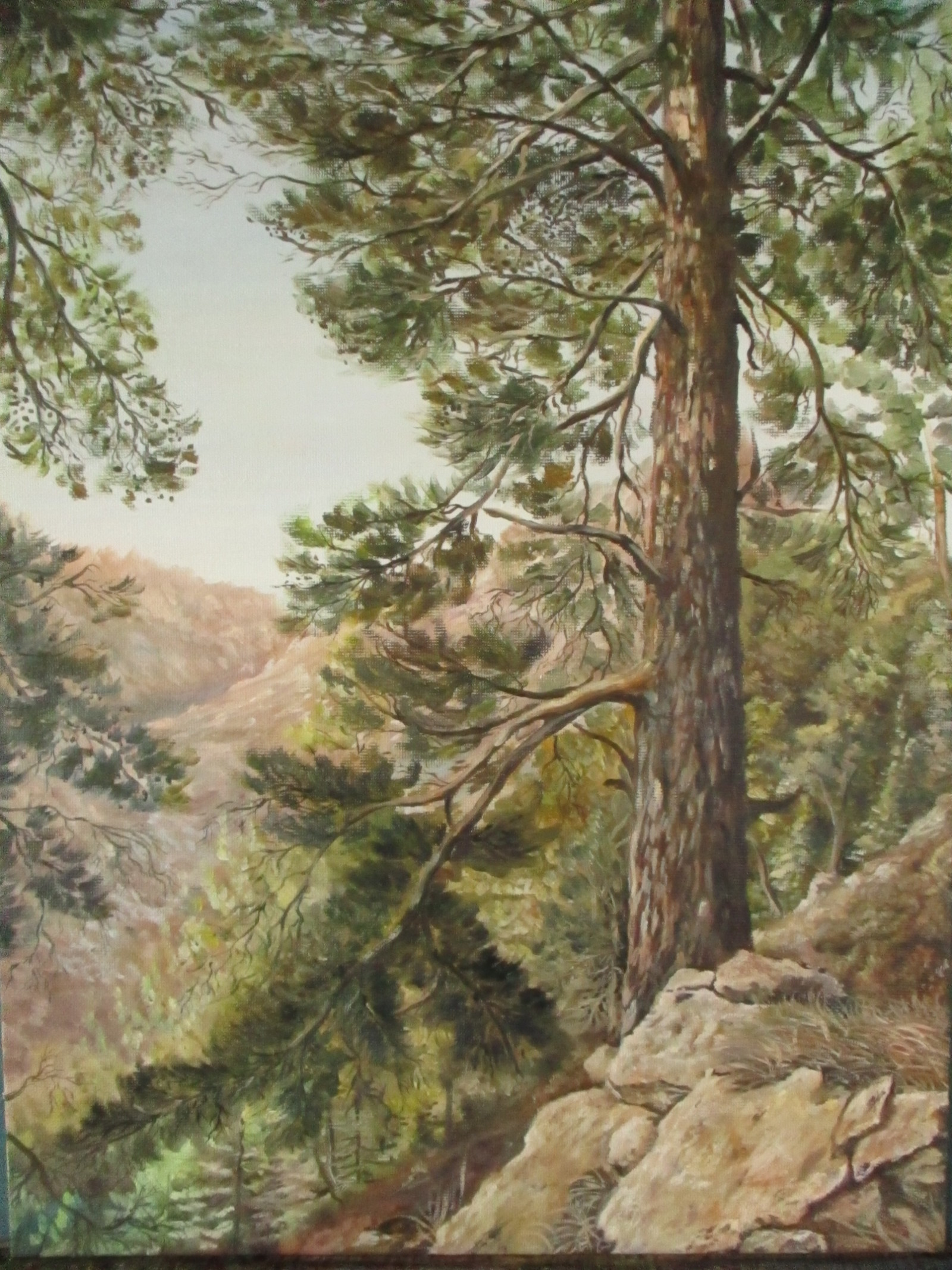 mountain forest - My, Painting, Butter, Canvas, Forest, The mountains, Tree, Pine