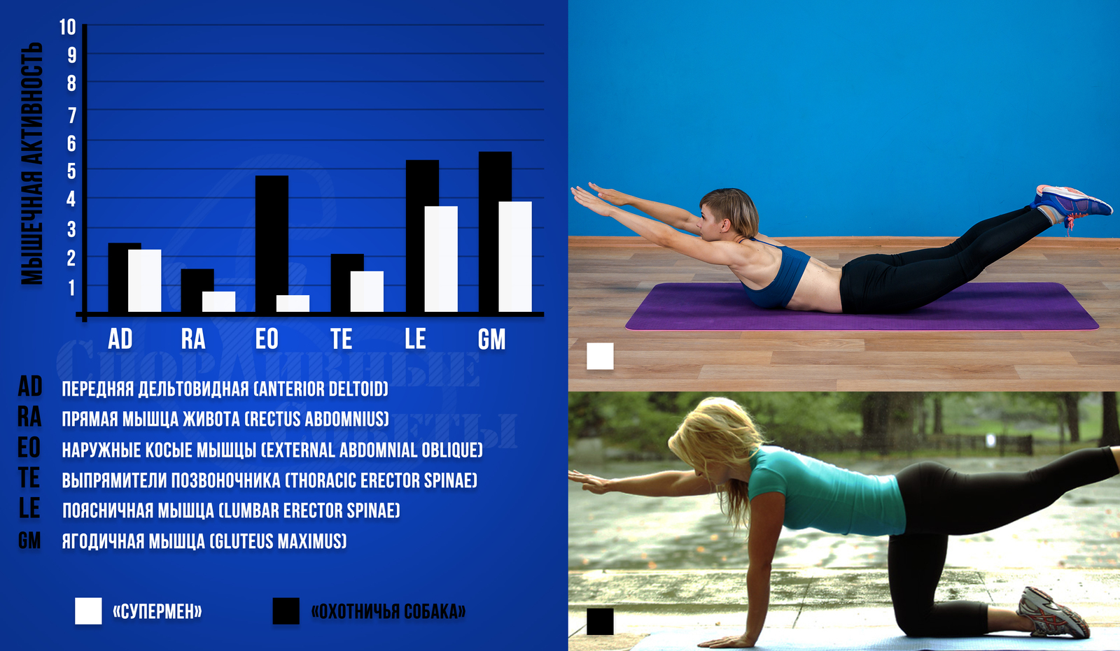 Plank crunches - My, Sport, Тренер, Sports Tips, Research, Plank, Press, Muscle, Gym, Longpost