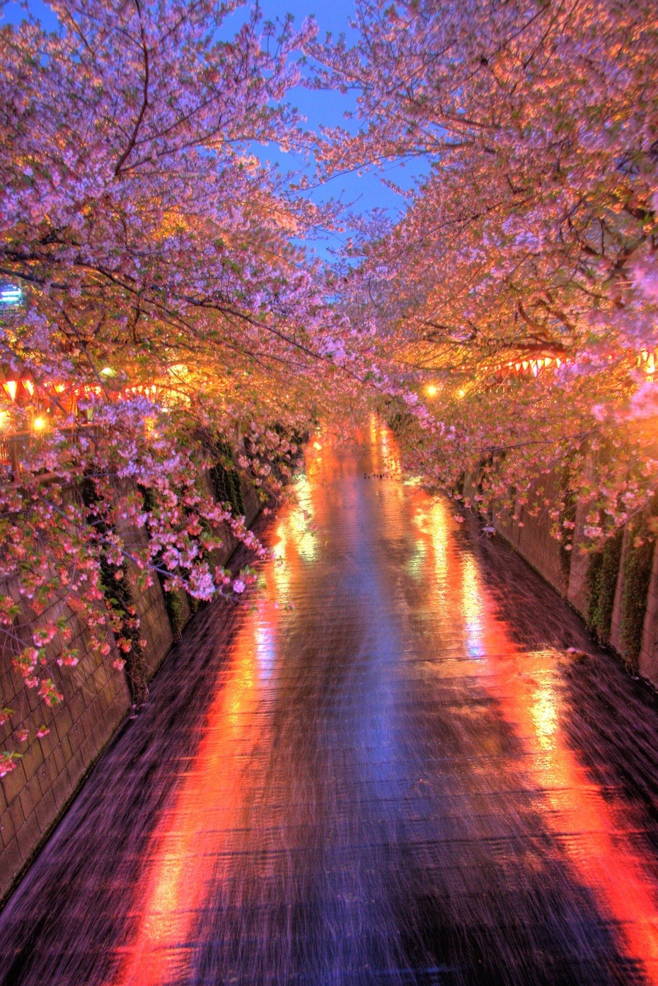 Meguro - a river dotted with sakura - Japan, Tokyo, Sakura, Flowers, The photo, Unusual, Beautiful, Longpost