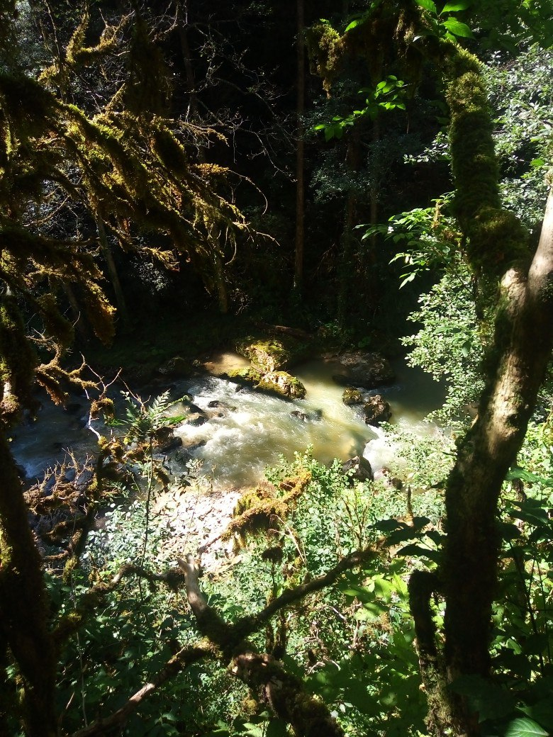 Guam Gorge. Lagonaki Highlands - My, The photo, Guam gorge, , Longpost