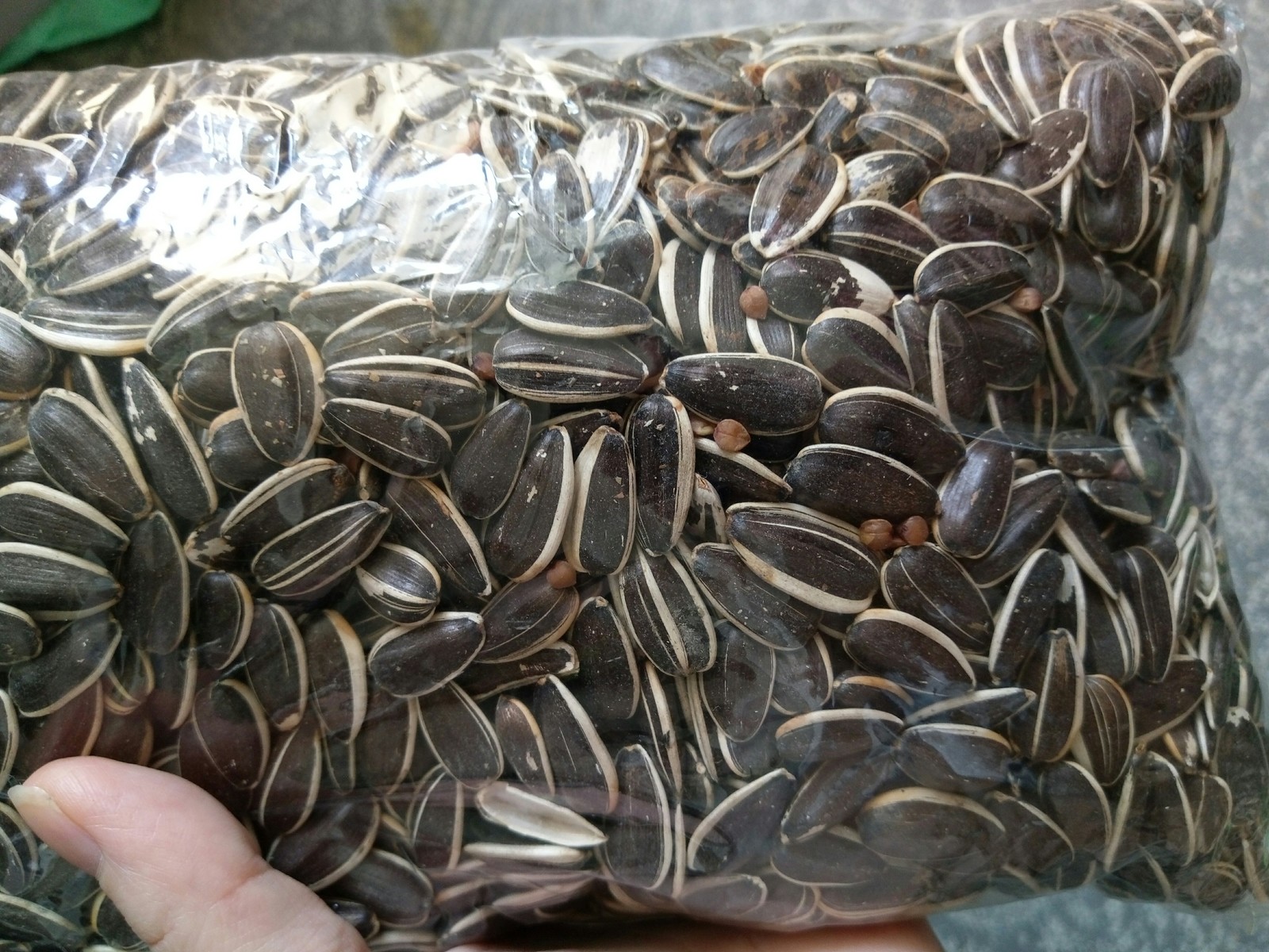 Seeds with buckwheat - My, Seeds, The photo, Observation