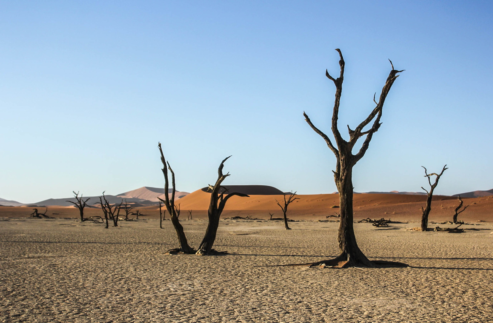 A place where there is nothing - Namibia, Travels, Desert, Sand, Text, The photo, Longpost