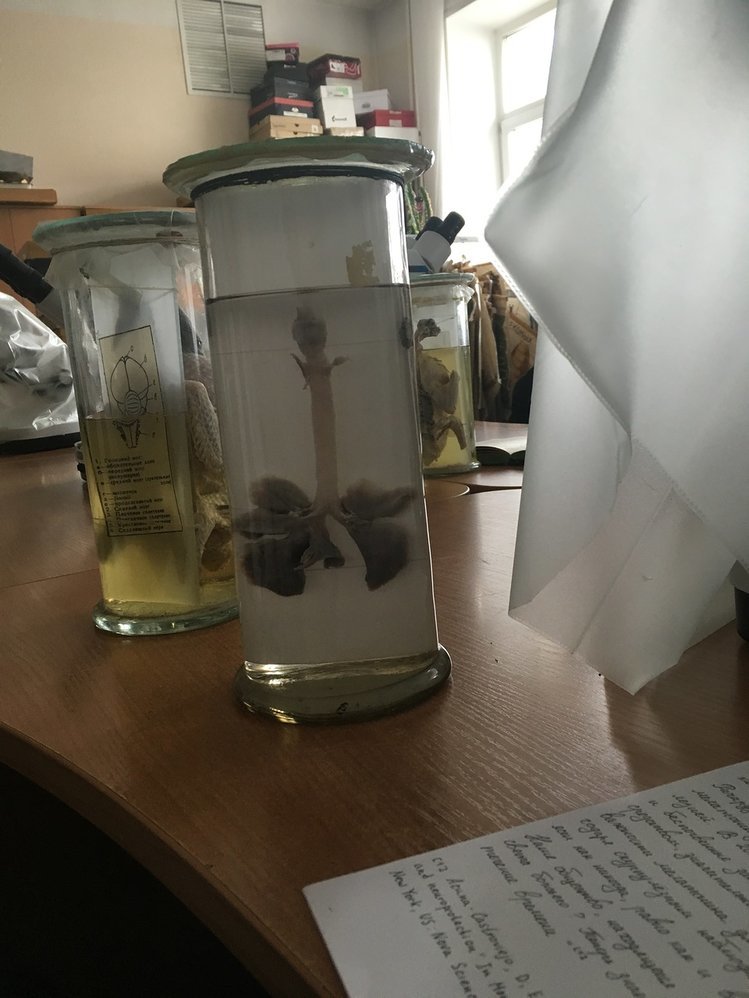 Разное с Биофака | Пикабу