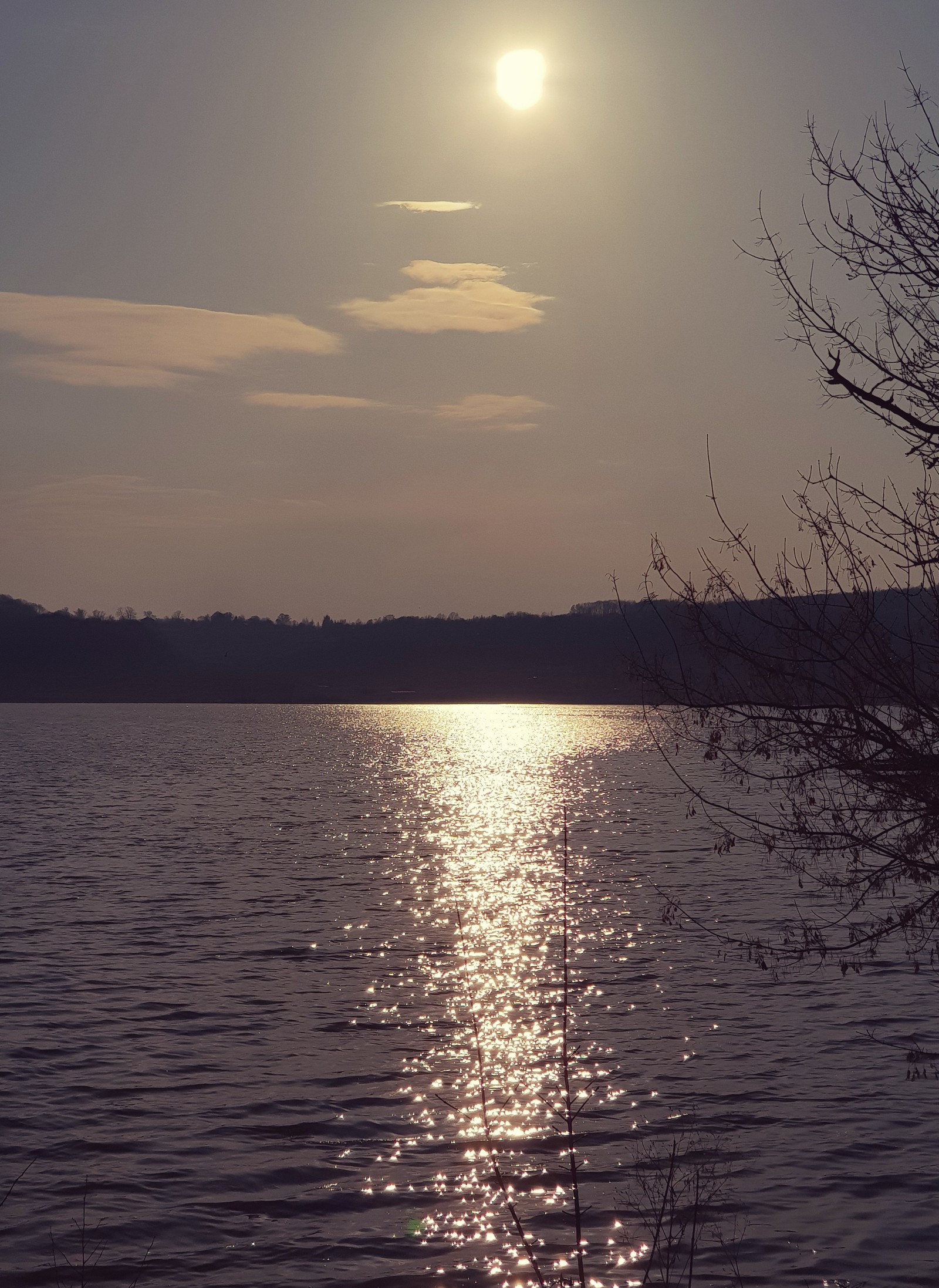 Spring at the reservoir. - My, Spring, Tula region, Sunset, Nature, Water, Longpost